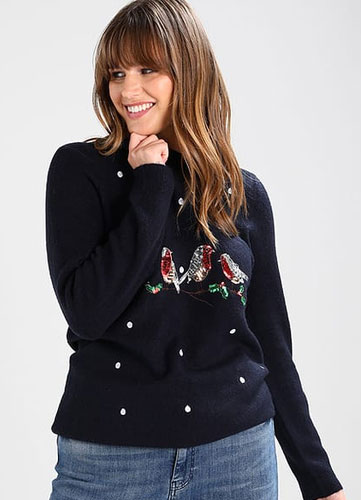 Mode grande taille : Pulls esprit de noël 49