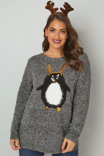 Mode grande taille : Pulls esprit de noël 53