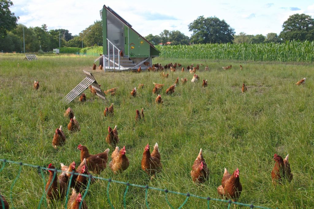 Les avantages de l’agriculture biologique 28